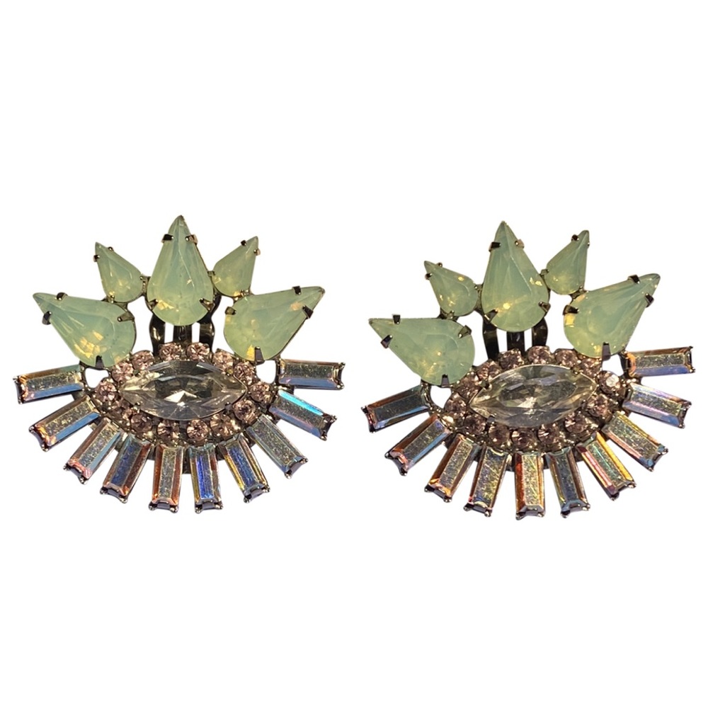 Elizabeth Cole Elliptical Swarovski Crystal Clip Earrings